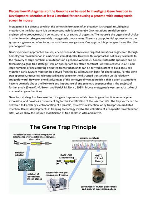 Mutagenesis techniques - Discuss how Mutagenesis of the Genome can be ...