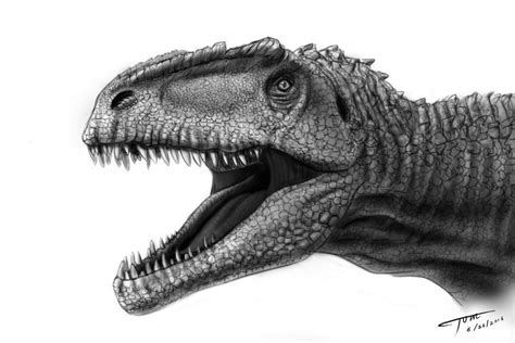 Giganotosaurus head sketch | Pré história, Animais pré-históricos ...