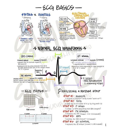 ECG Rhythm Recognition and Interpretation Packet | Etsy | Paramedic school, Nursing school notes ...