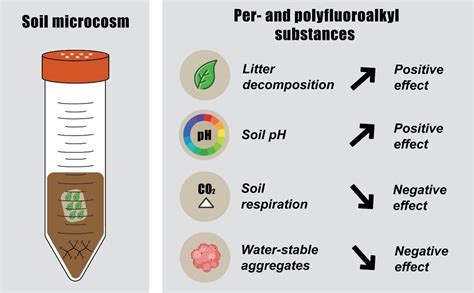 Examining the effects of PFAS 'forever chemicals' on soil structure and ...