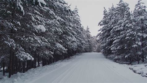 View of snowy road and majestic trees. Landscape video of snow covered trees and road 8715782 ...