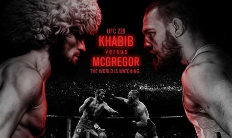 Khabib vs McGregor Wallpapers - Top Free Khabib vs McGregor Backgrounds - WallpaperAccess