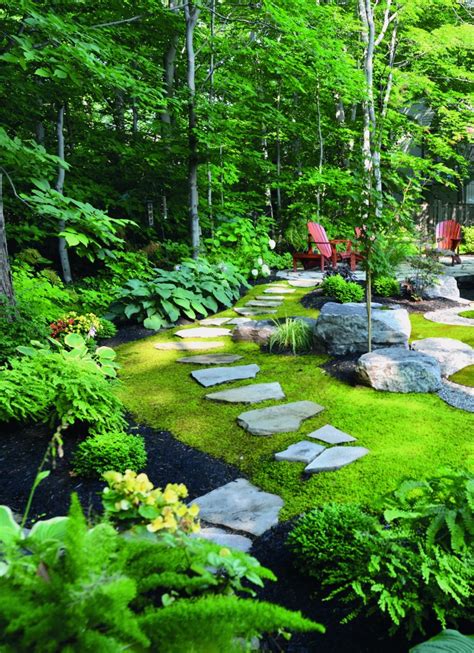 Start Your Own Moss Lawn - Laidback Gardener