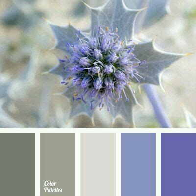 58 Best Dusky Color images | Color, House colors, Color inspiration