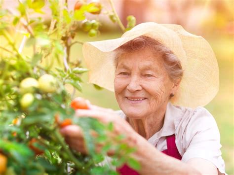 Senior Gardening Activities - How To Design Elderly Accessible Gardens