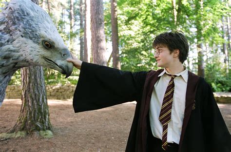 “Say 'hello' to Buckbeak.” - Hagrid #HarryPotter #Hagrid #Hippogriff #Buckbeak # ...