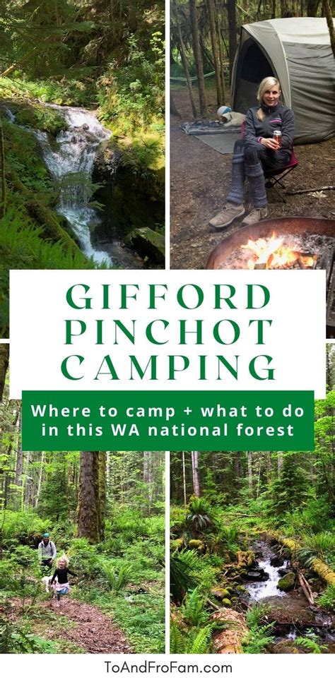 Stunning Gifford Pinchot National Forest: Camping, Waterfall Trails + More