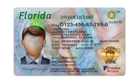 Florida Driving License - Buy IDs, SSN Card, Driving License IELTS ...