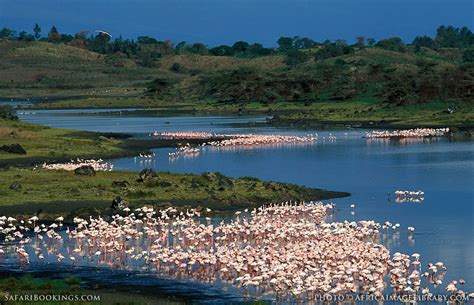 Arusha National Park – Travel Guide, Map & More!