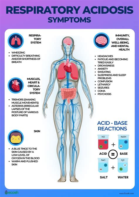 RESPIRATORY ACIDOSIS - Symptoms, Causes, Risk Factors, Prevention and Respiratory Acidosis ...