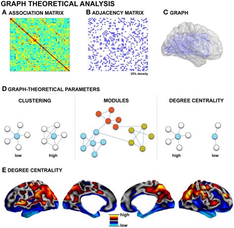 Connectomic analysis - DSI Studio—A Tractography Software Tool