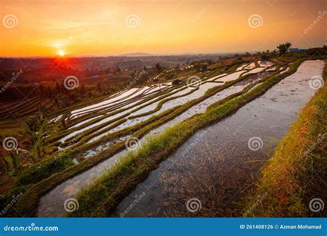 Beautiful Sunrise at Bali Rice Terraces during Sunrise. Rice Fields of ...