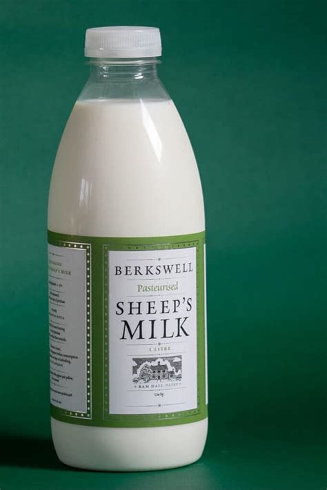 A new dawn for sheep’s milk? - Wicked Leeks