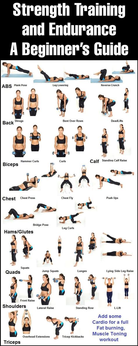 Strength Training And Endurance – A Beginner’s Guide | Strength training guide, Fitness body ...