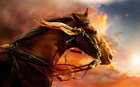 War Horse, HD Animals, 4k Wallpapers, Images, Backgrounds, Photos and Pictures