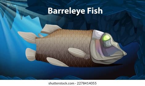 202 Barrel Eye Fish Royalty-Free Images, Stock Photos & Pictures ...