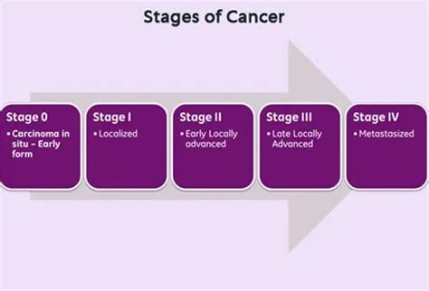 Understanding Cancer: Metastasis, Stages of Cancer, and More - Bhaskar Health: trustworthy ...