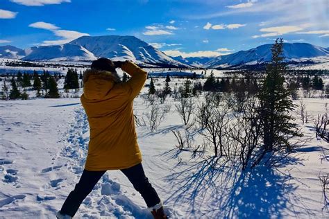 Denali Park Winter Experience 2023 - Denali National Park