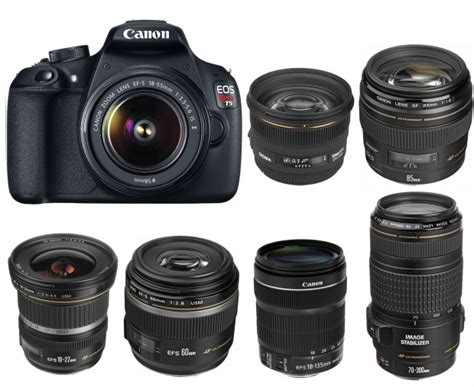 Best Lenses for Canon EOS Rebel T7, T6, T5 in 2023 - Camera Times