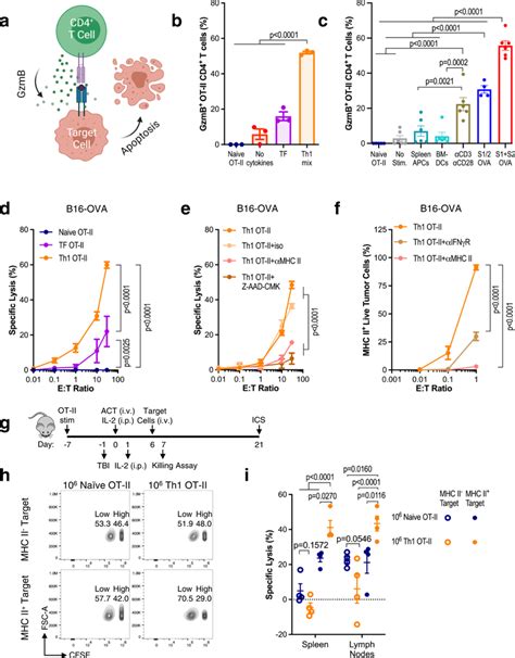 MHC II aAPCs promote CD4⁺ T cell cytotoxicity a Schematic of direct ...