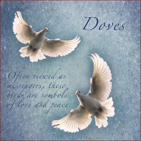 What Does A White Dove Represent In Christianity at dulcecadler blog