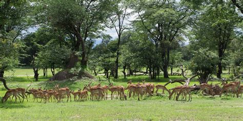 Mosi-oa-Tunya National Park - Zambia | Rhino Africa