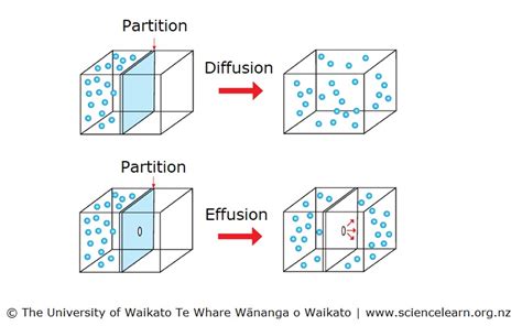 Diffusion and effusion — Science Learning Hub