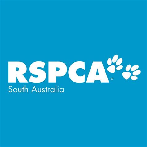 RSPCA South Australia - YouTube