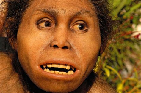 Homo erectus Existed 200,000 Years Earlier than Previously Thought | Paleoanthropology | Sci ...