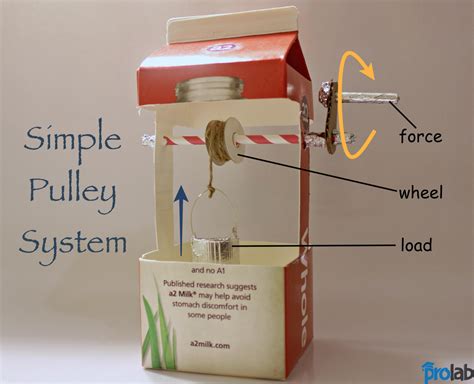 A simple pulley system | Simple machine projects, Simple machines activities, Pulley