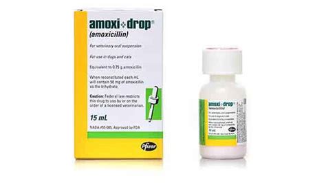 Amoxi Drops (Trimox Generic) - Antibiotic for Dogs and Cats | PetCareRx