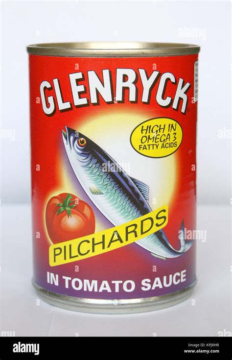 Pilchards hi-res stock photography and images - Alamy