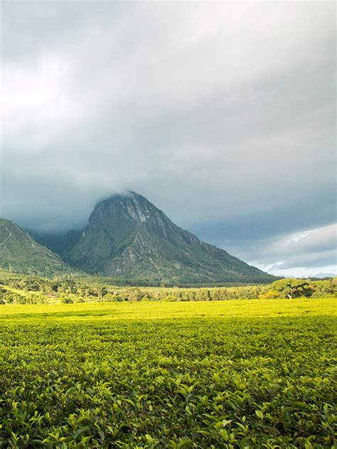 Mount Mulanje | malawigulf.com