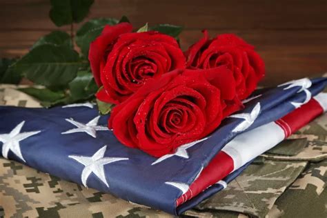 ᐈ Military funerals stock photos, Royalty Free military funeral images | download on Depositphotos®