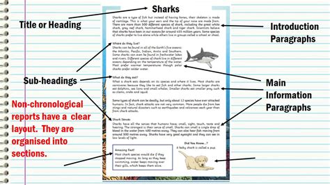 Out Of This World Non Chronological Report Ks2 Sea Creatures What Are ...