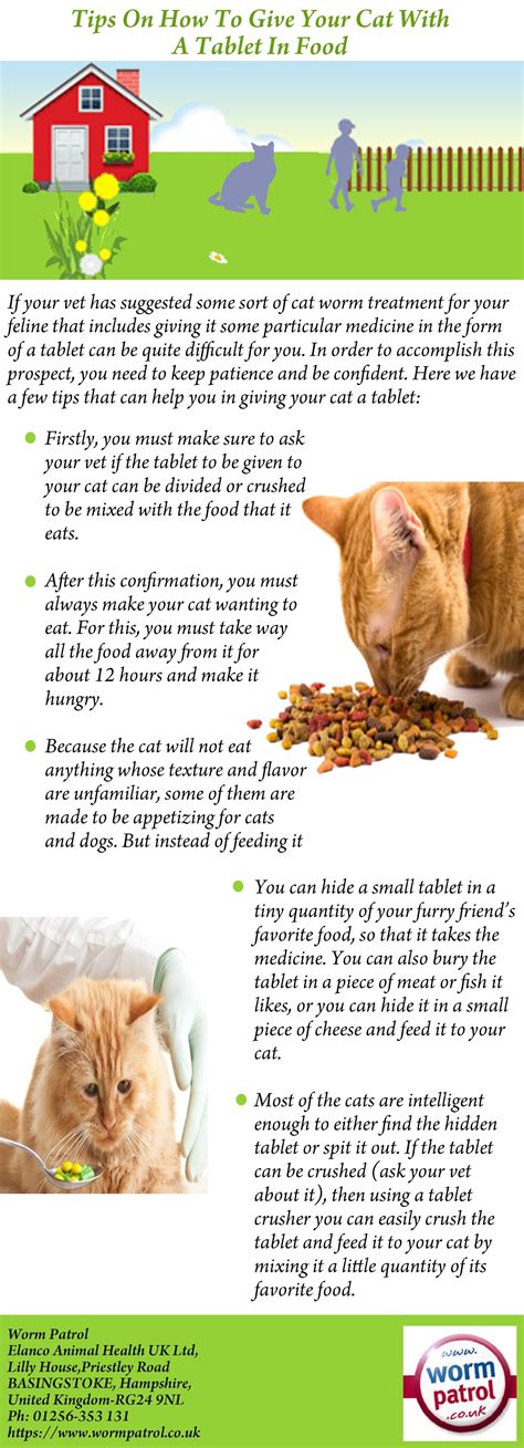 If your vet has suggested some sort of cat worm treatment for your ...