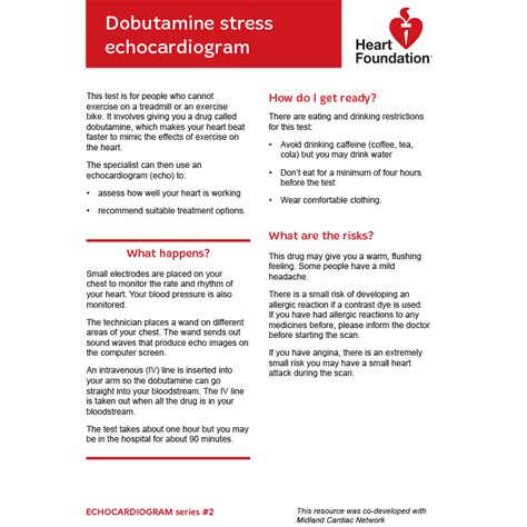 Dobutamine stress echocardiogram - Heart Foundation