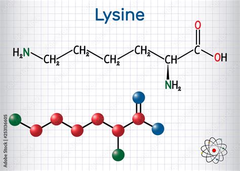 Lysine (L- lysine , Lys, K) amino acid molecule. It is used in the ...