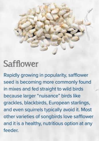 Backyard Seeds Safflower Bird Seed for Cardinals (50 Pounds) | Pricepulse