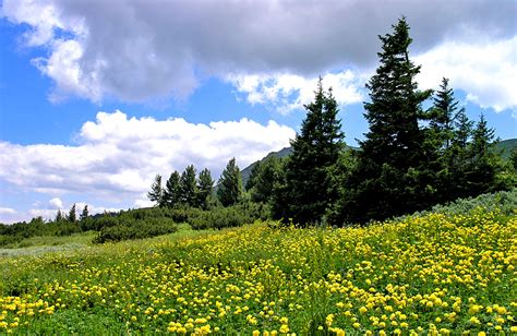 Vitosha & Cherni Vrah Peak Hiking Day Tour From Sofia. Guided & Self ...