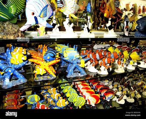 Florida souvenirs in a store Stock Photo - Alamy