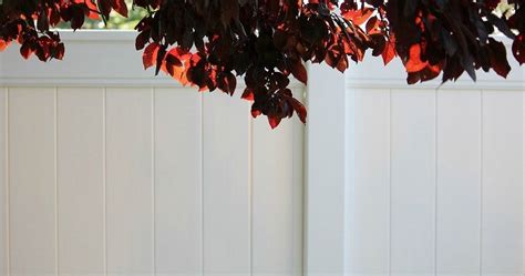 The Best Ideas for Garden Fences - MyGardenZone