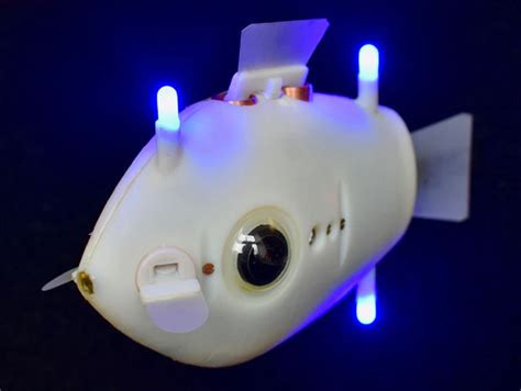 Fish-Inspired Soft Robot Survives a Trip to the Deepest Part of the Ocean · Fishing Industry ...