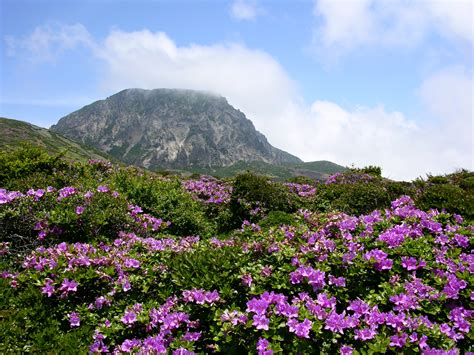 Hallasan National Park | South Korea 대한민국 | Outdoors Korea