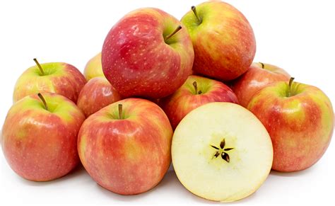 Cripps Pink Apples Information and Facts