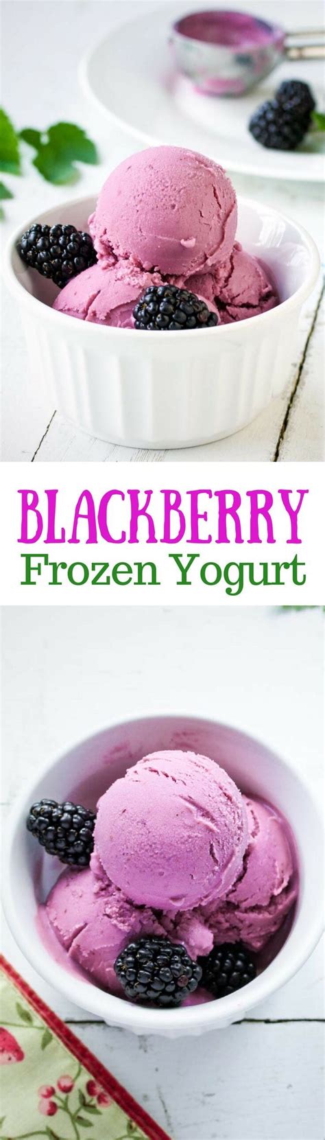 15 Amazing Healthy Frozen Yogurt Recipes | Chief Health