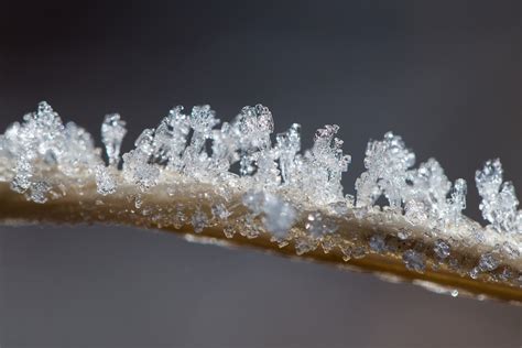 Ice Crystals Winter · Free photo on Pixabay