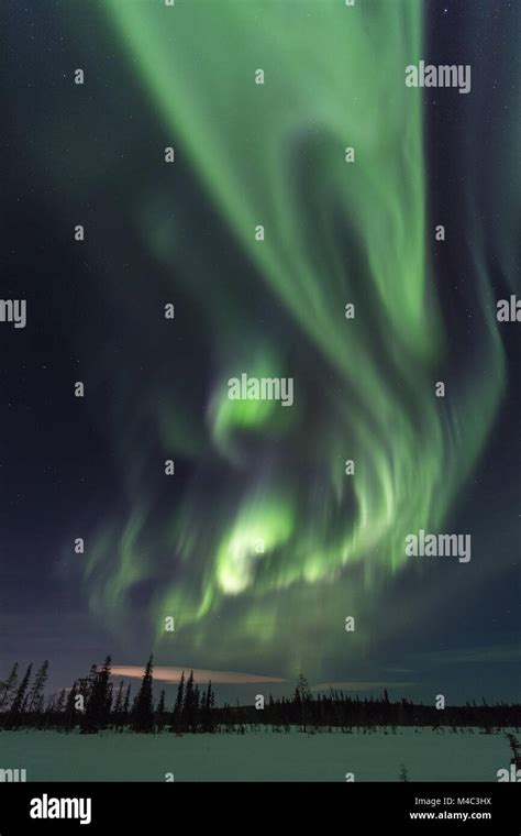 Northern lights, Lapland, Sweden Stock Photo - Alamy