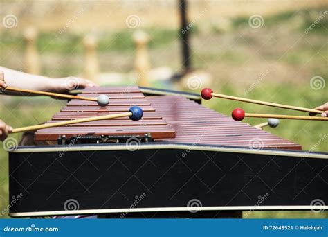 Xylophone with Playing Hands. Red Marimba Xylophone. Music Percussion Instrument. Stock Image ...