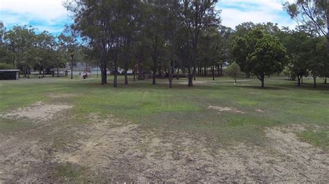 Musgrave Park, Brisbane - dogexplorer.com.au - YouTube